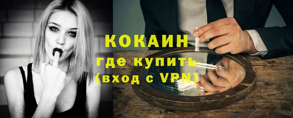 шишки Армянск
