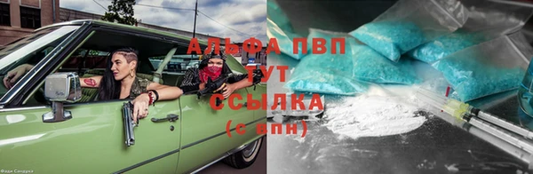 шишки Армянск