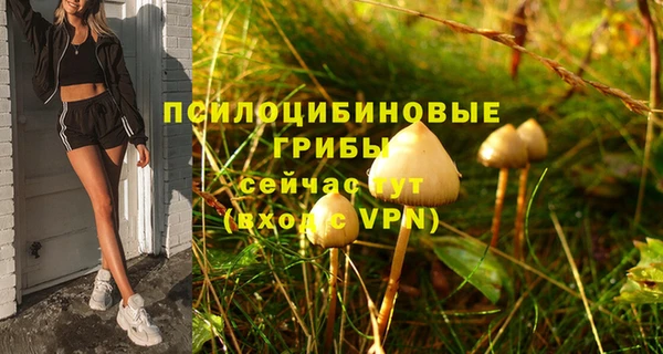 МДПВ Аркадак