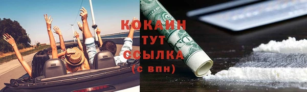 шишки Армянск
