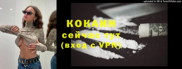 шишки Армянск