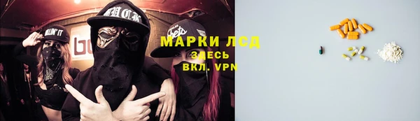 spice Арсеньев