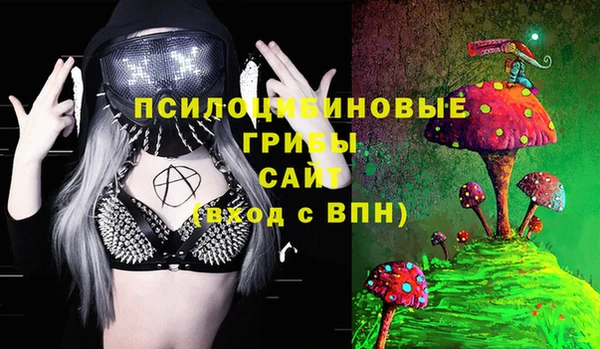 spice Арсеньев