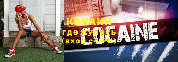 шишки Армянск