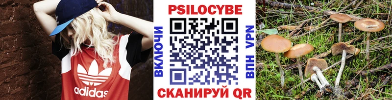 Галлюциногенные грибы мухоморы  Ивангород 