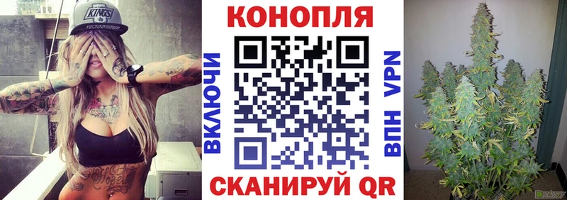 Конопля гибрид  Ивангород 
